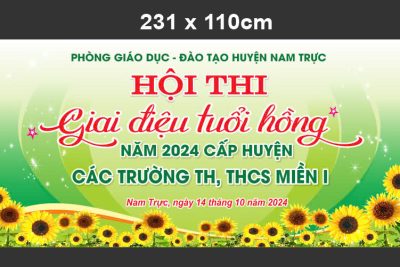 HỘI THI GIAI ĐIỆU TUỔI HỒNG CẤP HUYỆN NĂM 2024